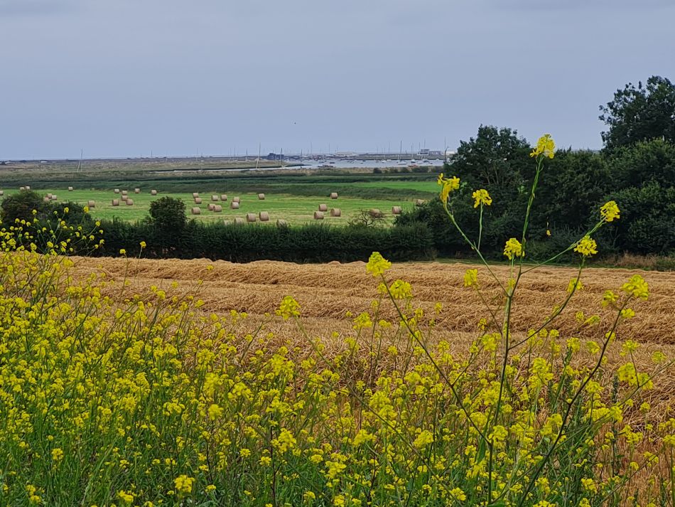 2021-09-02 07 Sudbourne.jpg