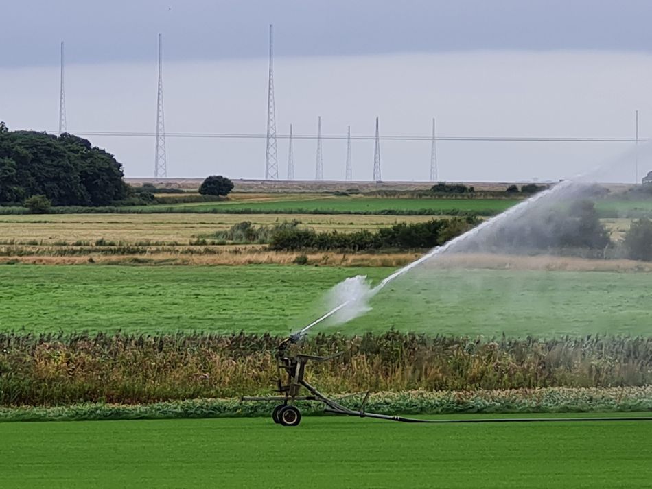 2021-09-02 16 Sudbourne.jpg