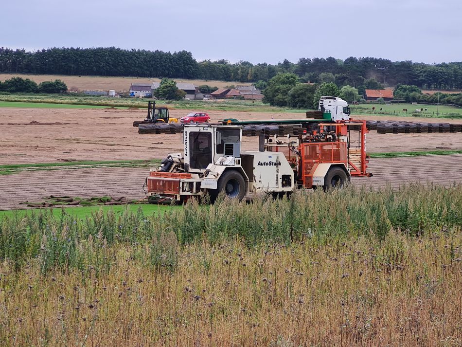 2021-09-02 17 Sudbourne.jpg