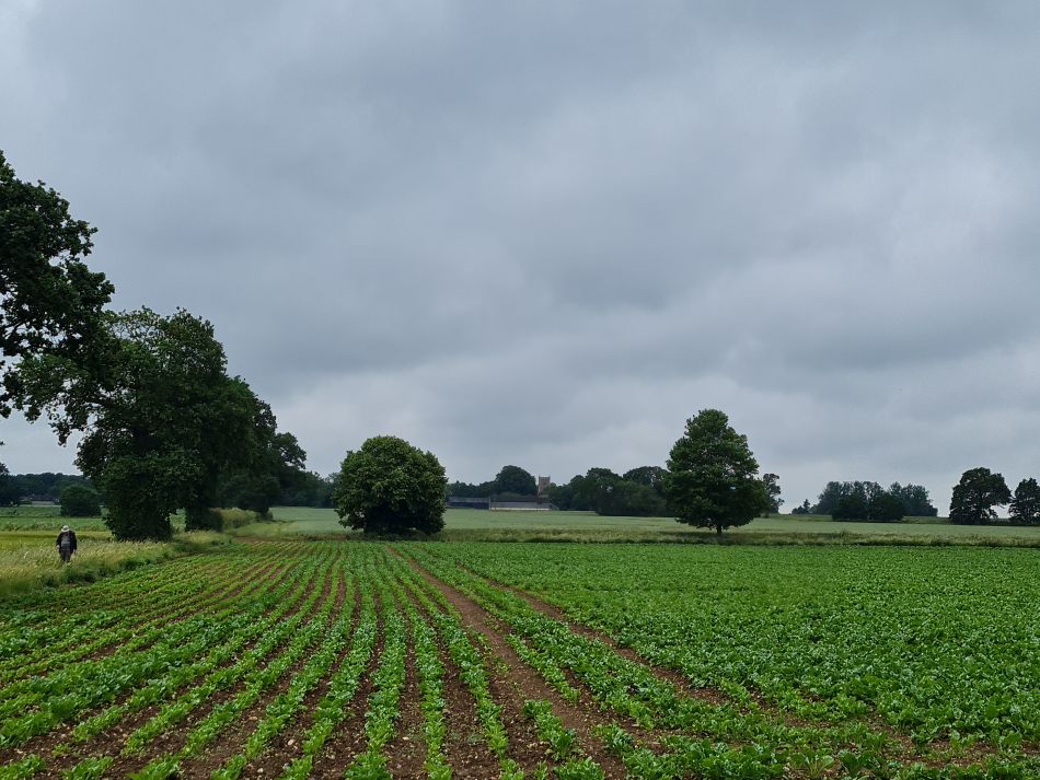 2023-06-20 02 Bury St Edmunds Group at Rougham.jpg
