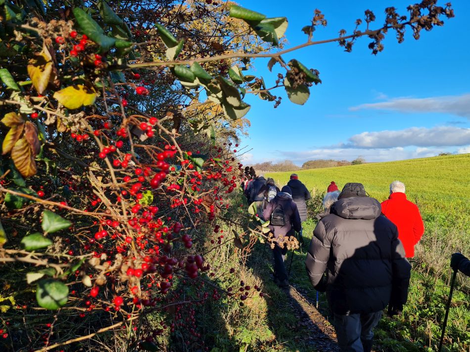 2023-12-06 04 Hales and Loddon.jpg