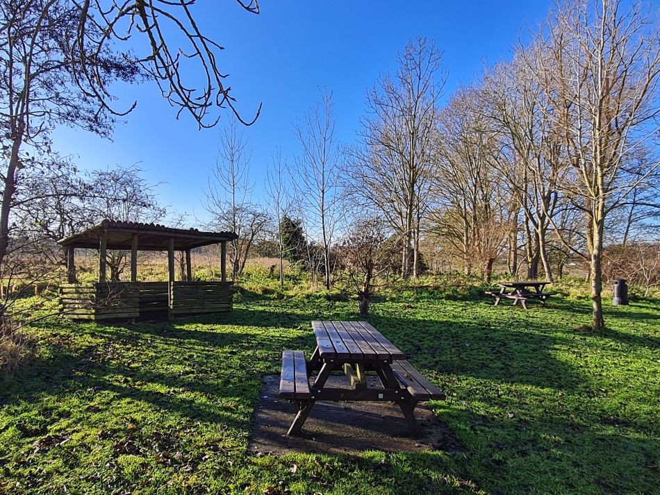 2023-12-06 15 Hales and Loddon.jpg