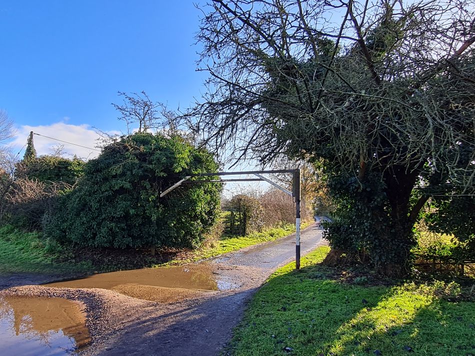 2023-12-06 16 Hales and Loddon.jpg