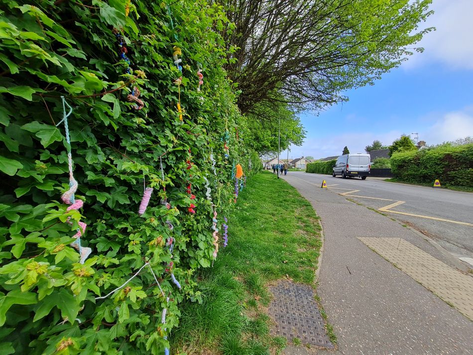 2024-05-07 12 Martham.jpg