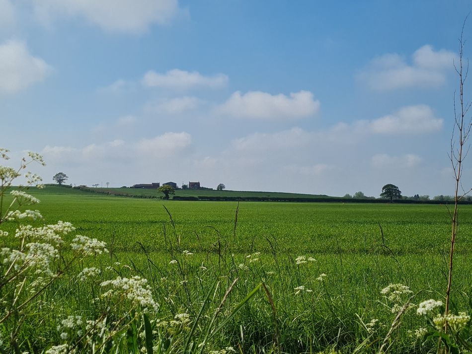 2024-05-07 14 Martham.jpg