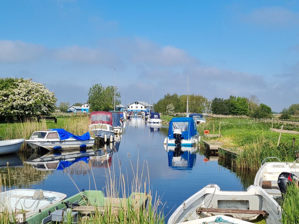 2024-05-07 15 Martham.jpg