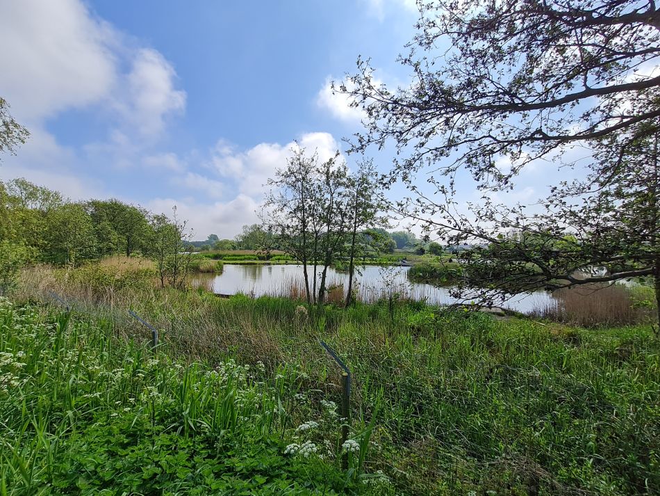 2024-05-07 18 Martham.jpg