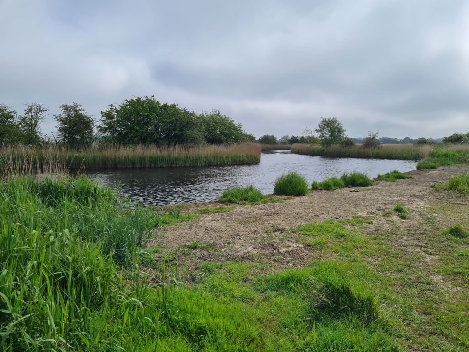 2024-05-07 19 Martham.jpg