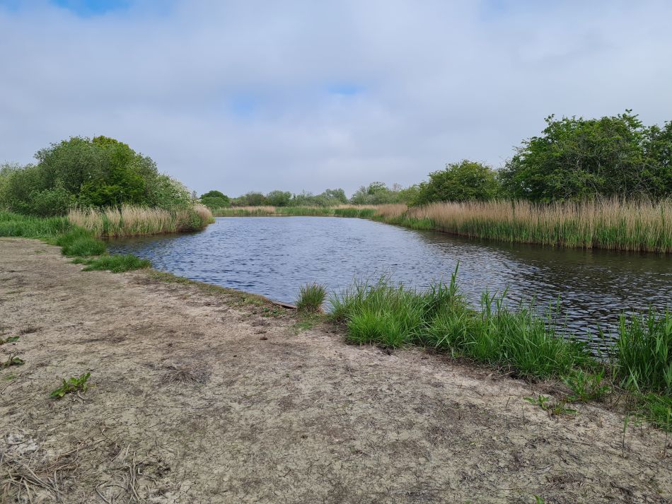 2024-05-07 20 Martham.jpg