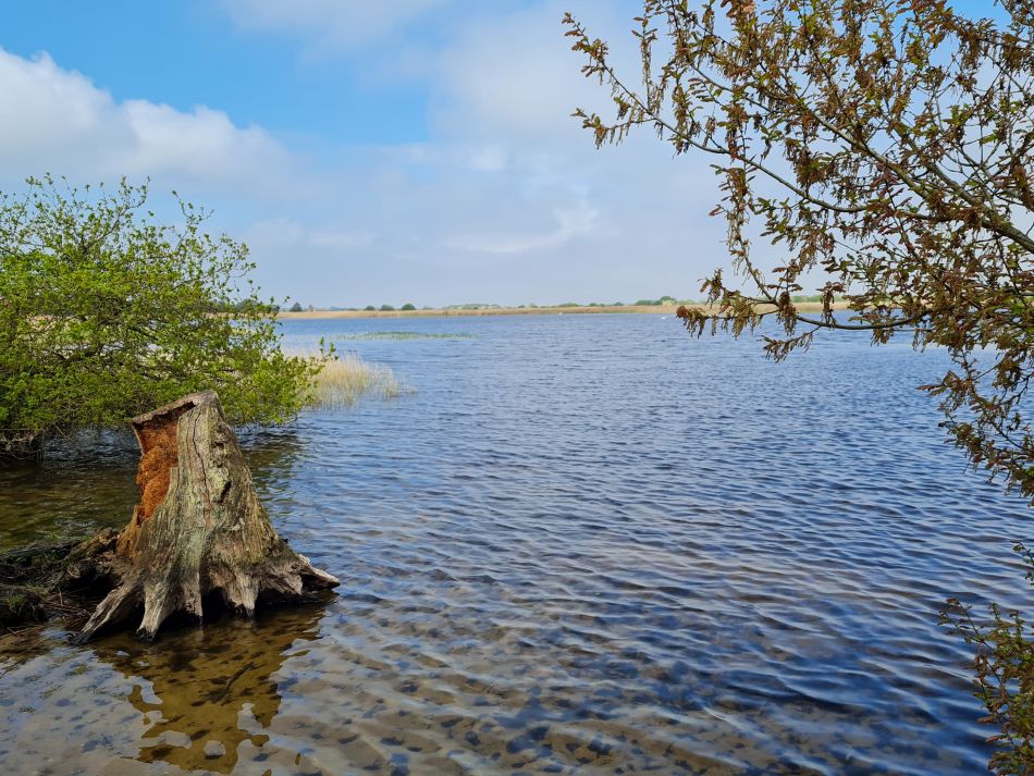 2024-05-07 22 Martham.jpg