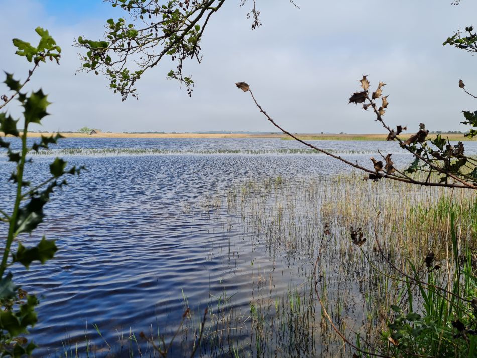 2024-05-07 23 Martham.jpg