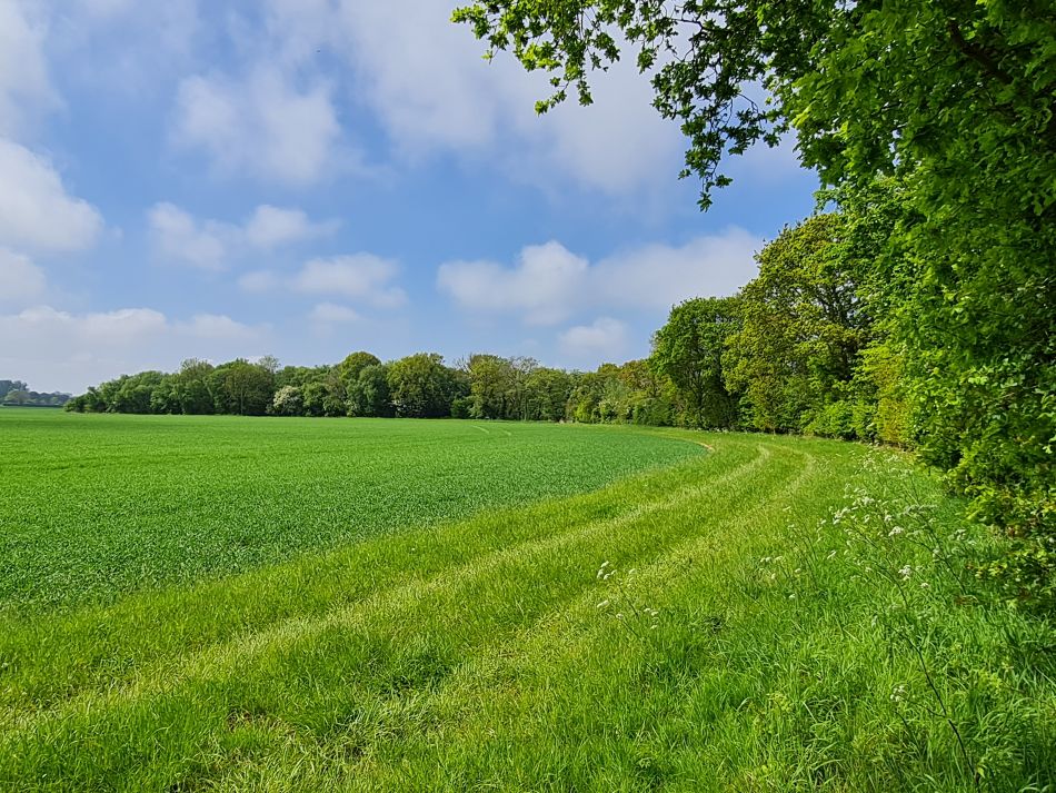 2024-05-07 24 Martham.jpg