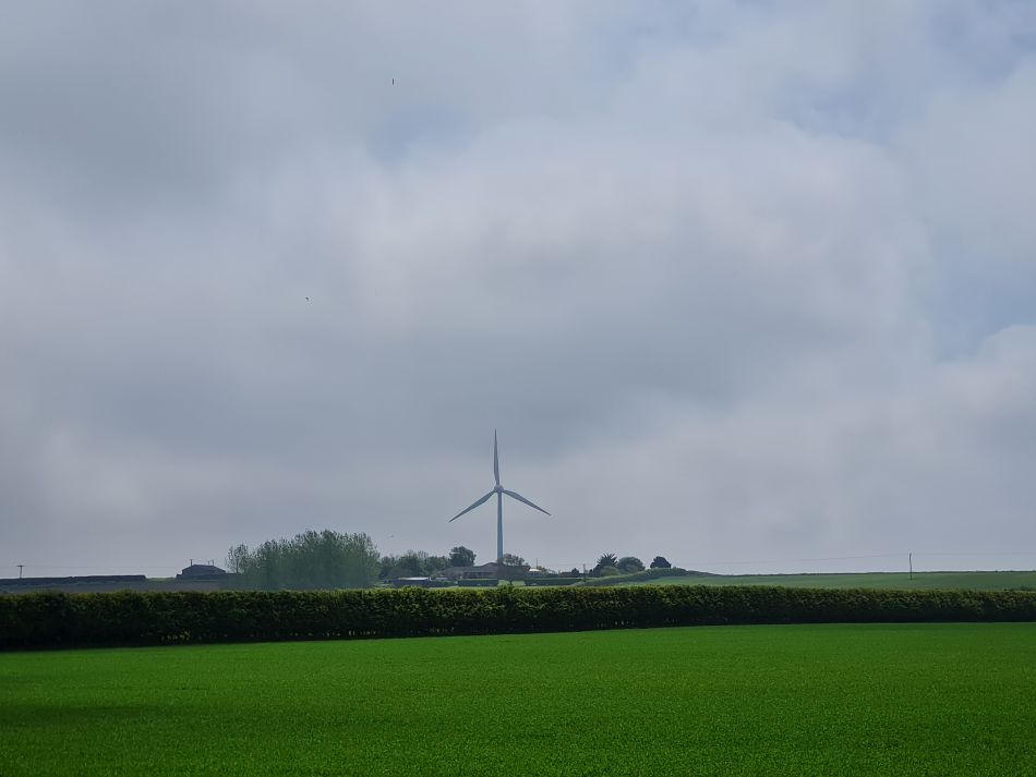 2024-05-07 25 Martham.jpg