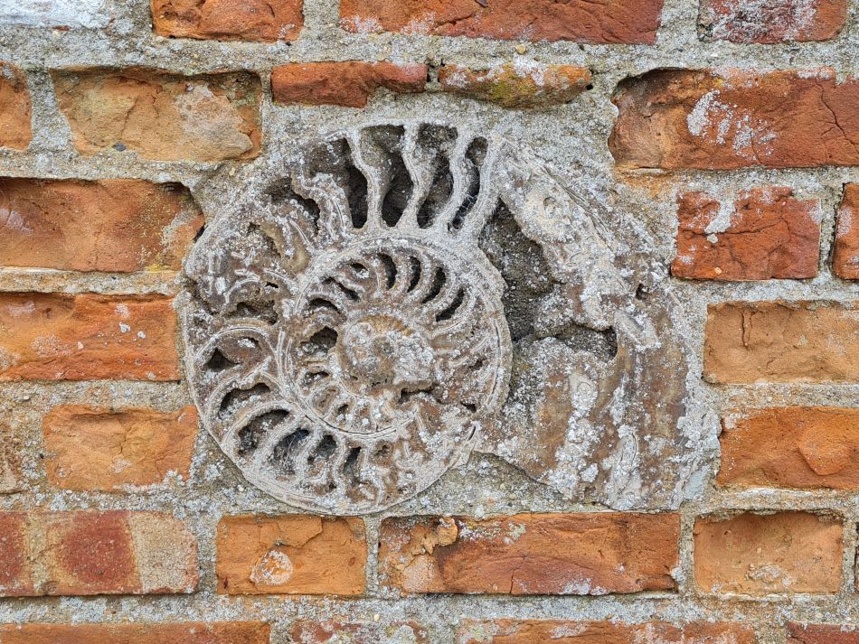 2024-05-07 28 Martham.jpg