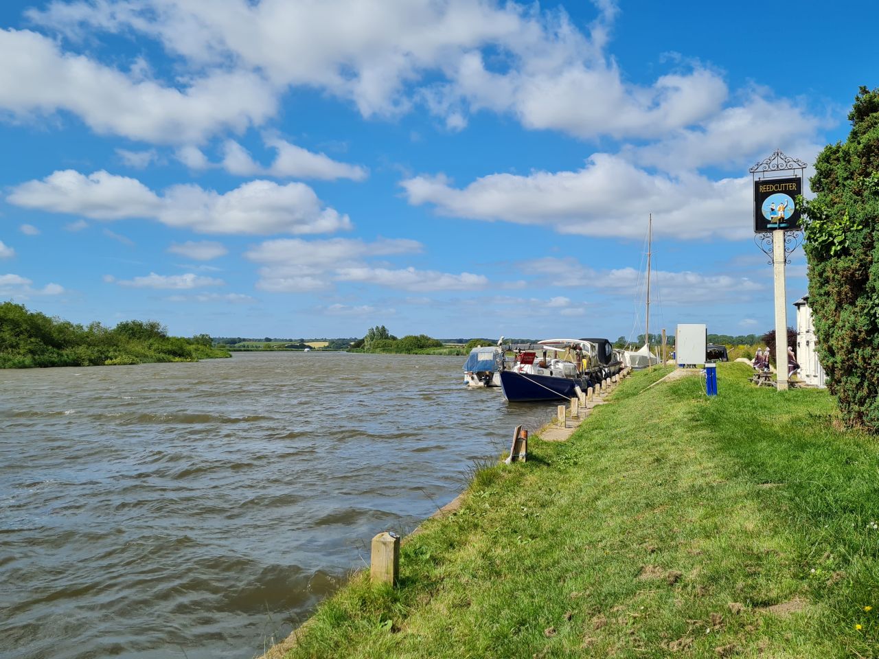 2024-07-04 08 Wensum Ramblers at Cantley.jpg