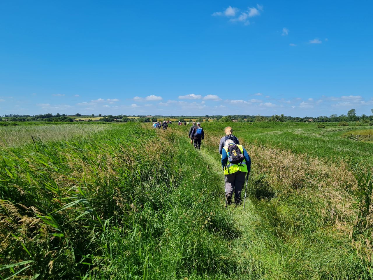 2024-07-04 13 Wensum Ramblers at Cantley.jpg