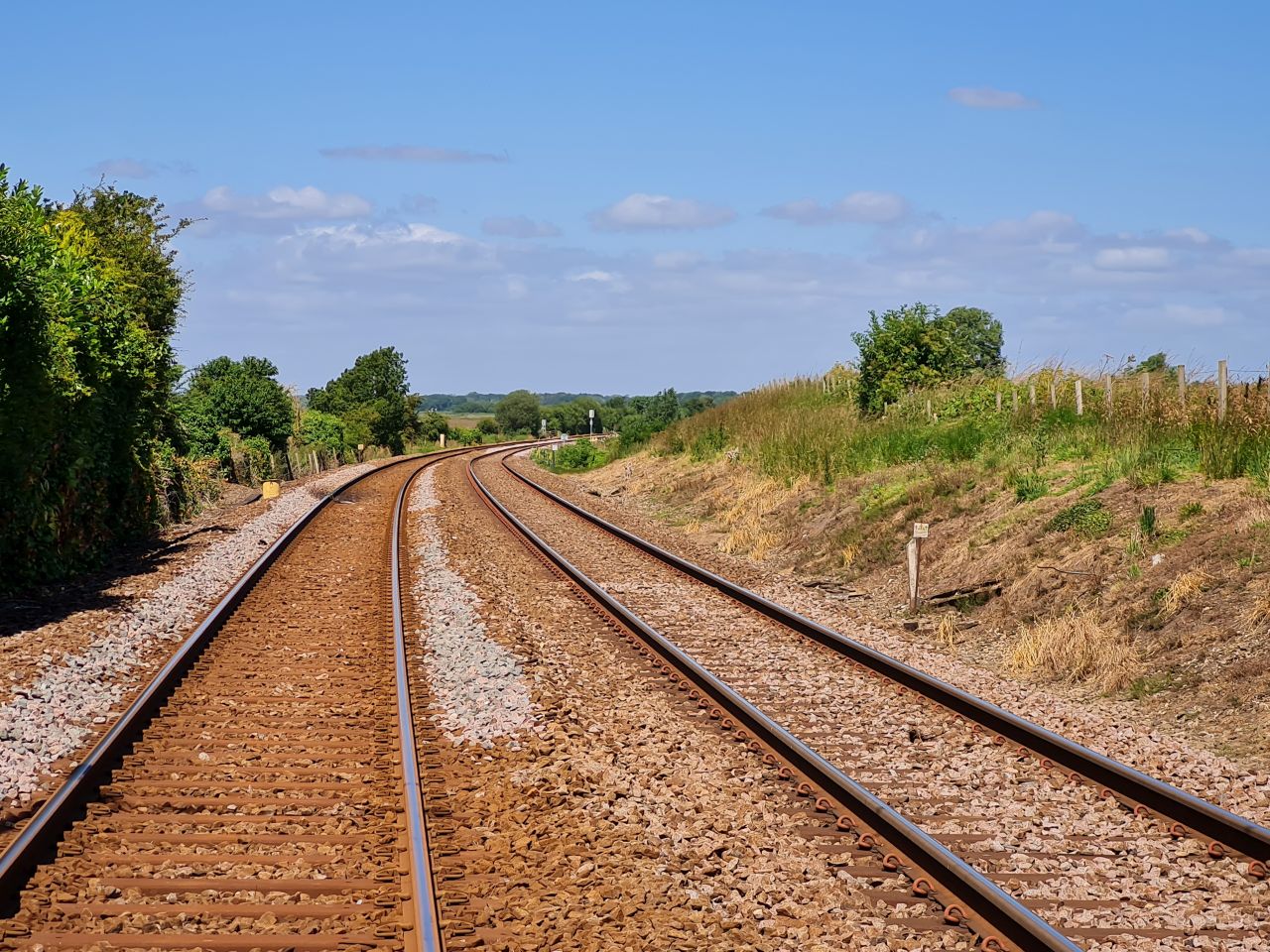 2024-07-04 18 Wensum Ramblers at Cantley.jpg