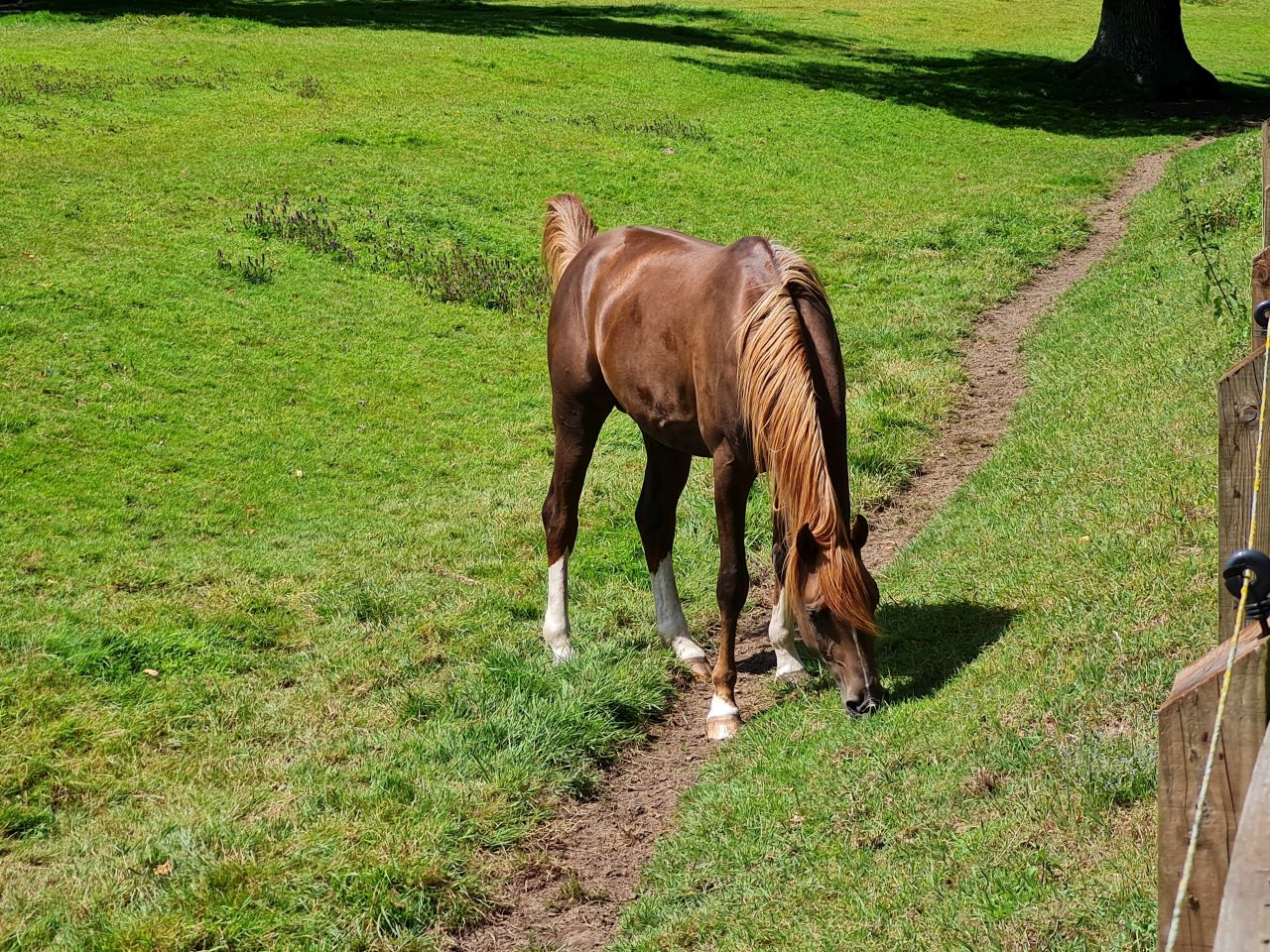 2024-07-04 20 Wensum Ramblers at Cantley.jpg