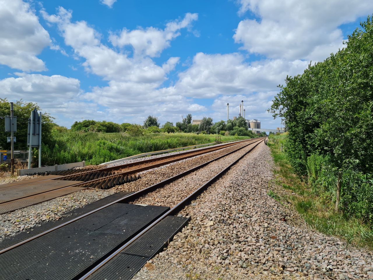 2024-07-04 21 Wensum Ramblers at Cantley.jpg