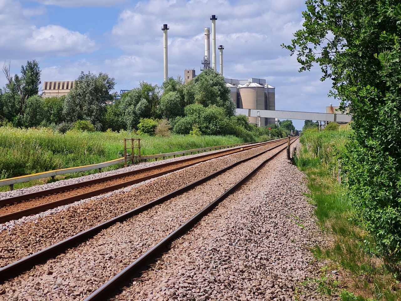 2024-07-04 22 Wensum Ramblers at Cantley.jpg
