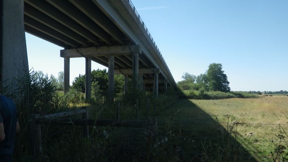 2018-08-02 05 Thurlton.jpg