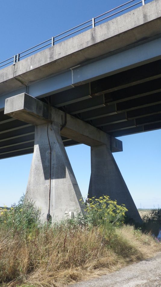 2018-08-02 08 Thurlton.jpg