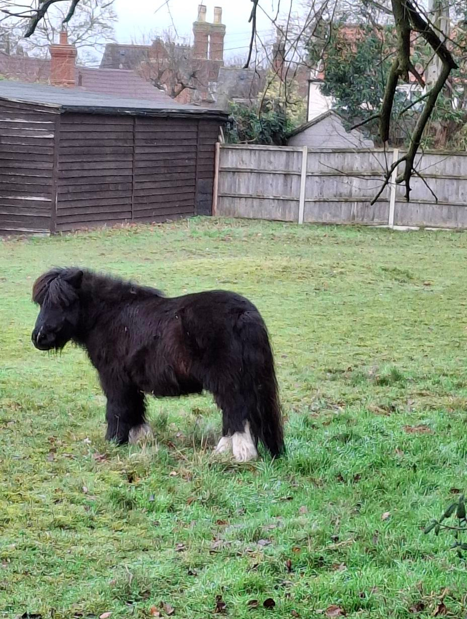 2024-12-29 10 Haddiscoe Thurlton Thorpe Marshes.jpg