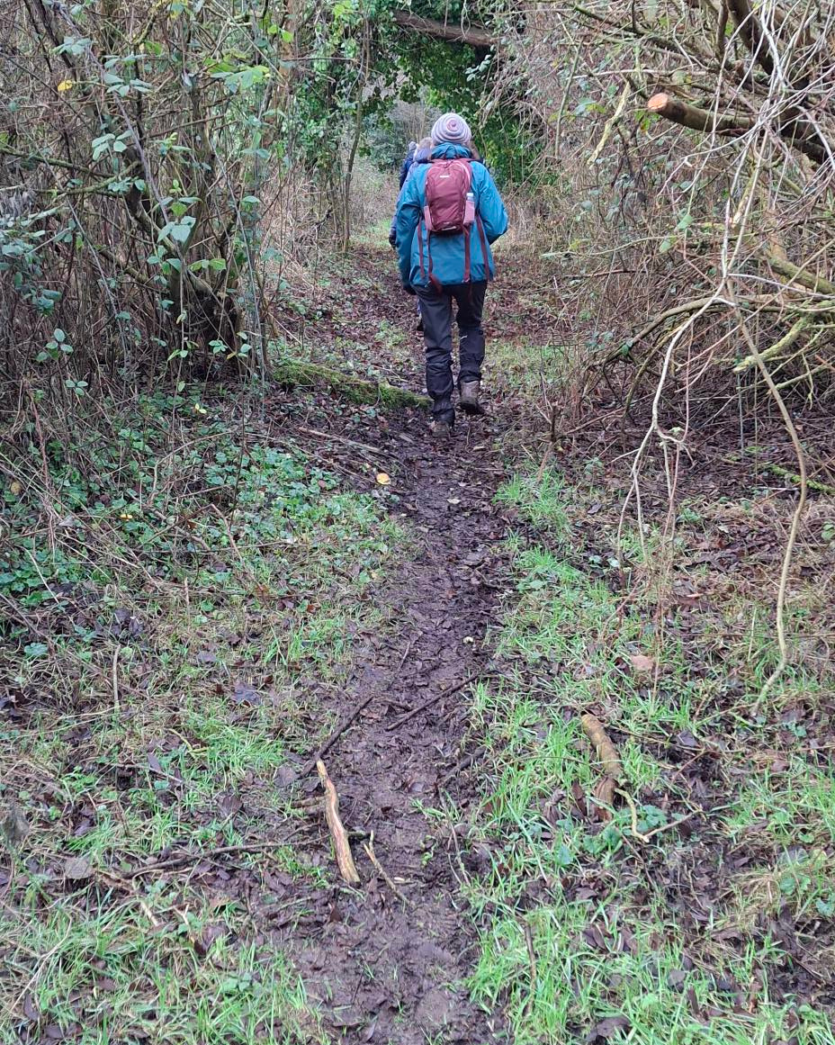 2024-12-29 11 Haddiscoe Thurlton Thorpe Marshes.jpg