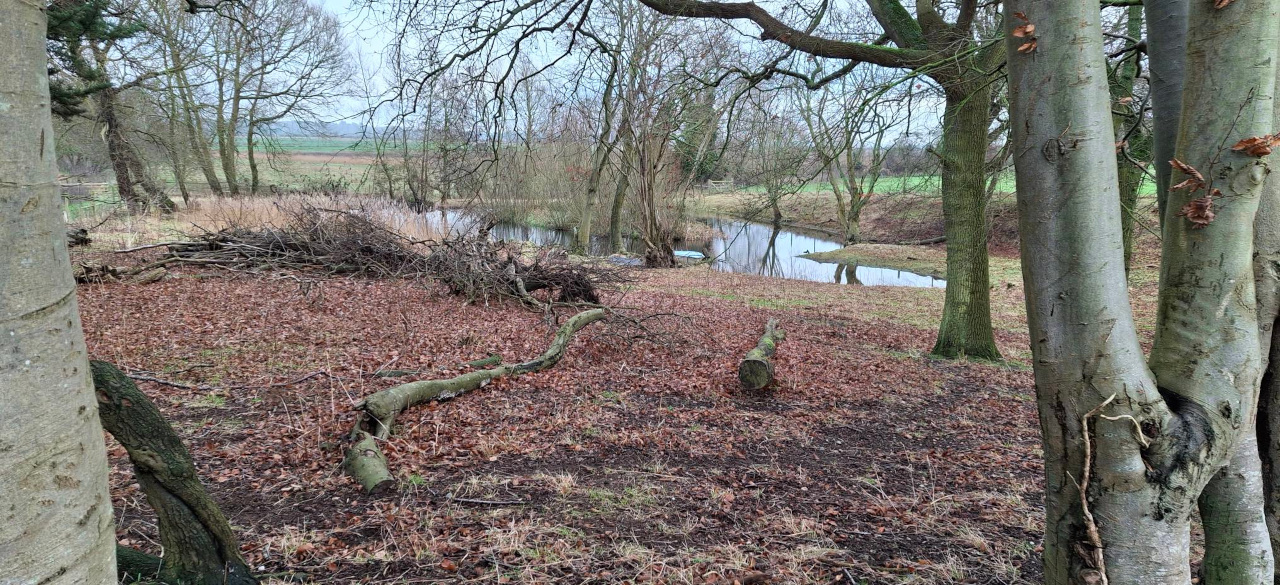 2024-12-29 12 Haddiscoe Thurlton Thorpe Marshes.jpg