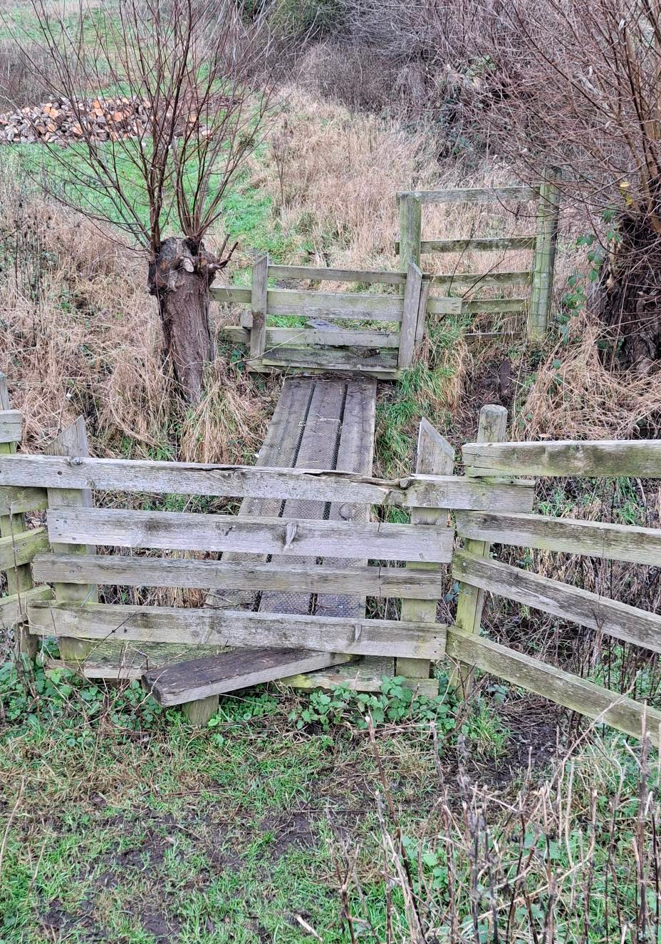 2024-12-29 13 Haddiscoe Thurlton Thorpe Marshes.jpg