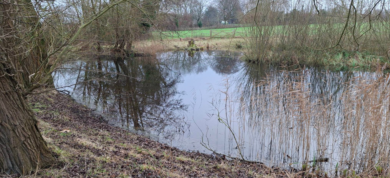 2024-12-29 14 Haddiscoe Thurlton Thorpe Marshes.jpg