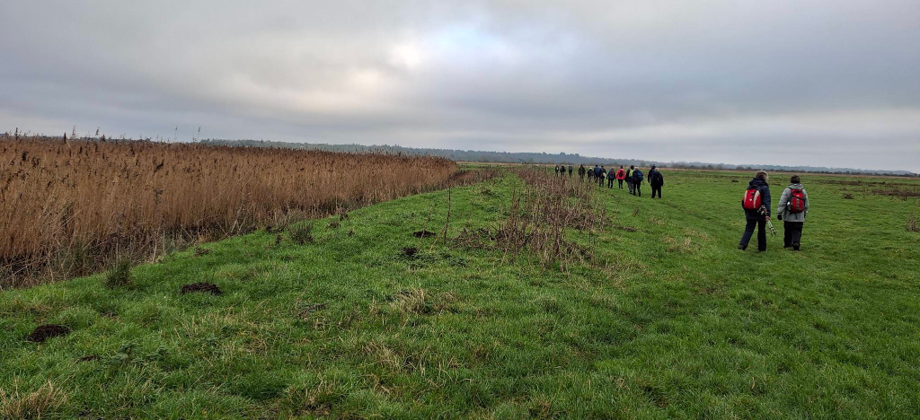 2024-12-29 15 Haddiscoe Thurlton Thorpe Marshes.jpg