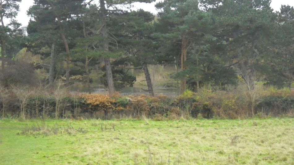 2017-12-05 01 Great Yarmouth Group at Gorleston.jpg