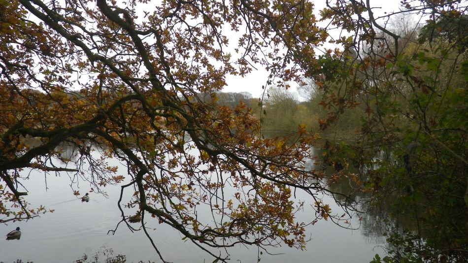 2017-12-05 04 Great Yarmouth Group at Gorleston.jpg