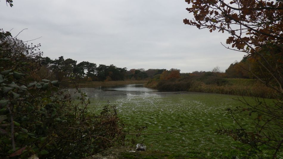 2017-12-05 05 Great Yarmouth Group at Gorleston.jpg