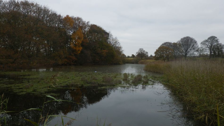 2017-12-05 06 Great Yarmouth Group at Gorleston.jpg
