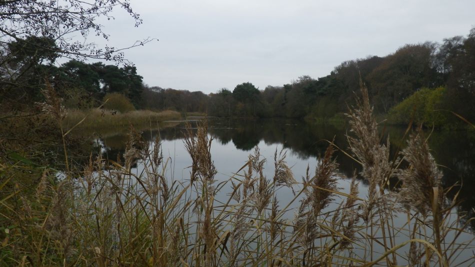 2017-12-05 07 Great Yarmouth Group at Gorleston.jpg