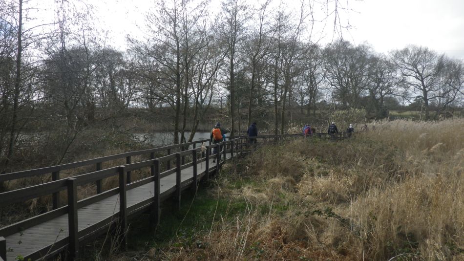 2020-03-15 11 Hopton and Lound Lakes.jpg