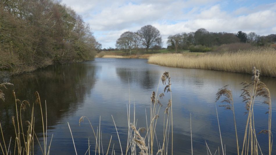 2020-03-15 12 Hopton and Lound Lakes.jpg