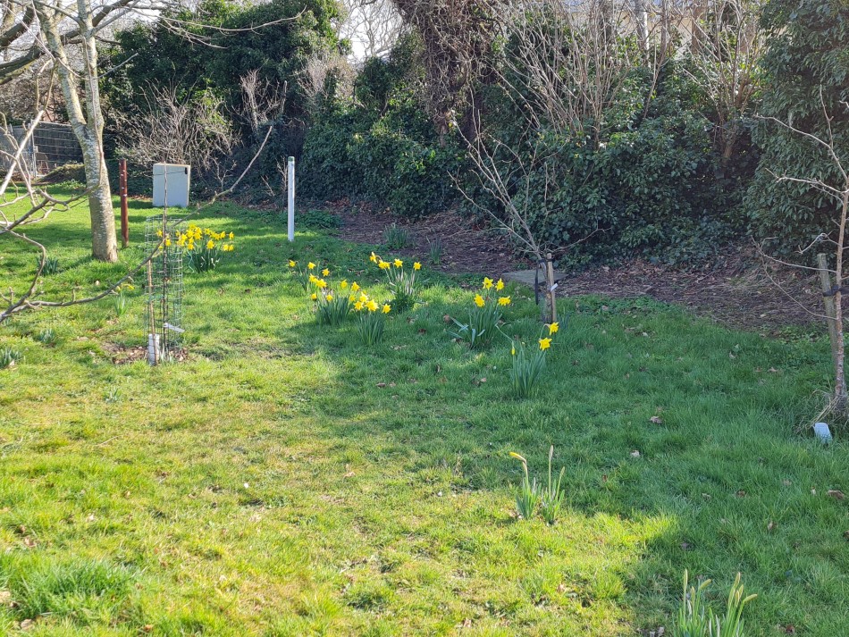 2022-03-06 09 Hopton and Lound Lakes.jpg