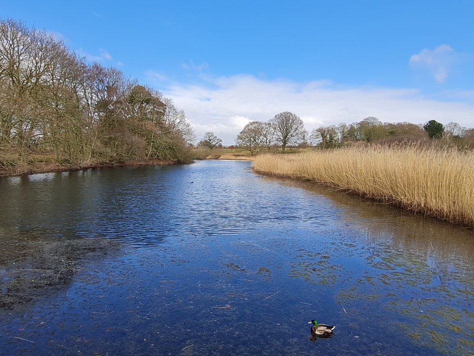 2022-03-06 17 Hopton and Lound Lakes.jpg