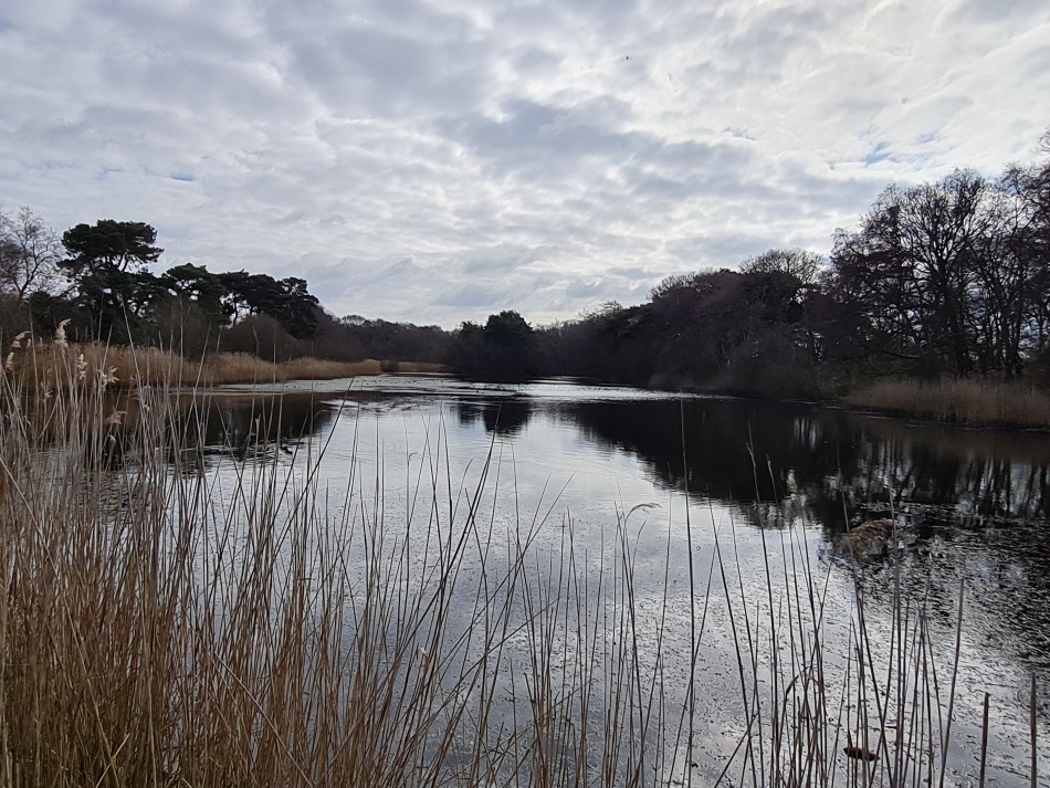 2022-03-06 18 Hopton and Lound Lakes.jpg