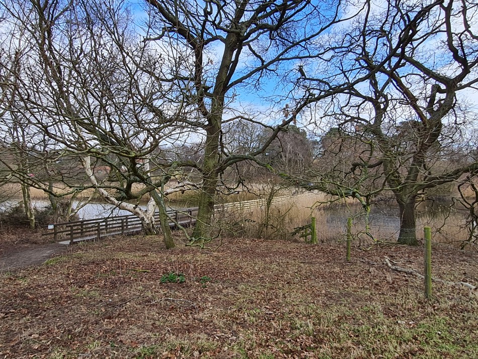 2022-03-06 19 Hopton and Lound Lakes.jpg