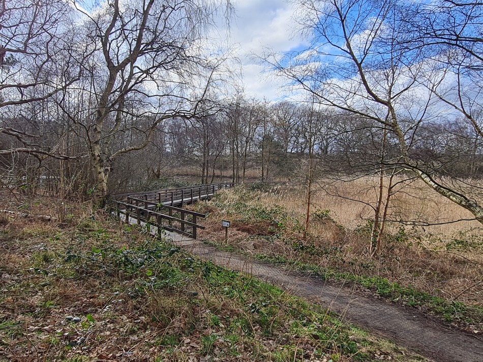 2022-03-06 20 Hopton and Lound Lakes.jpg