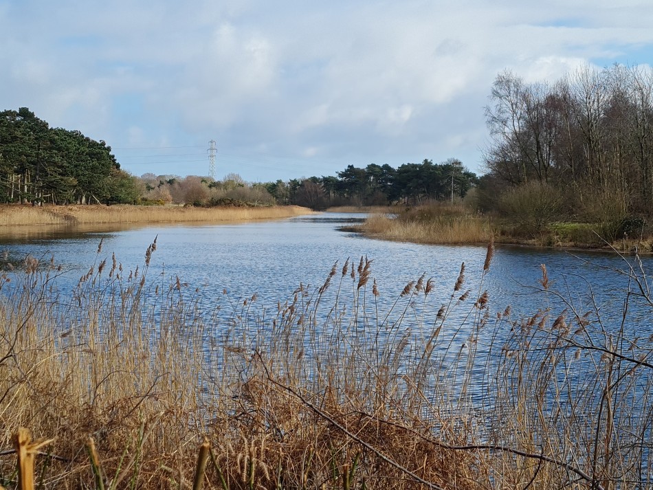 2022-03-06 23 Hopton and Lound Lakes.jpg