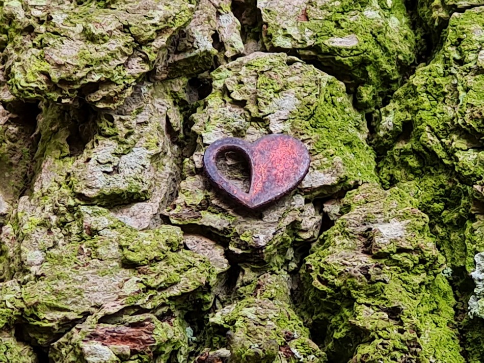 2022-03-06 25 Hopton and Lound Lakes.jpg