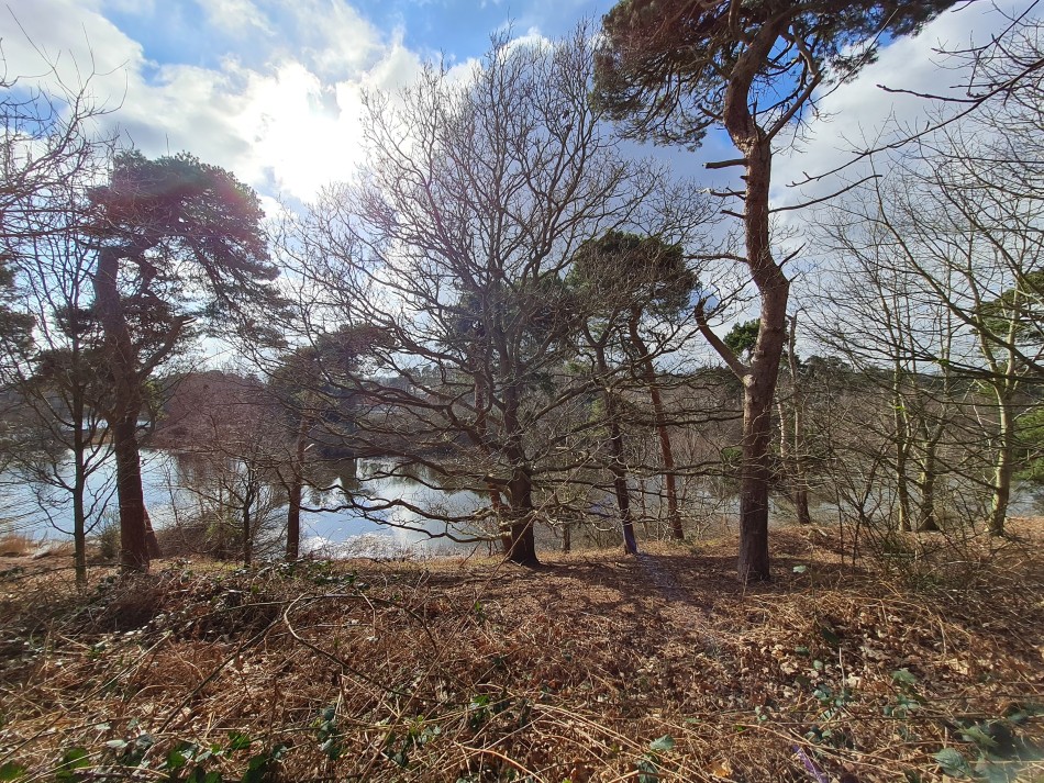 2022-03-06 26 Hopton and Lound Lakes.jpg