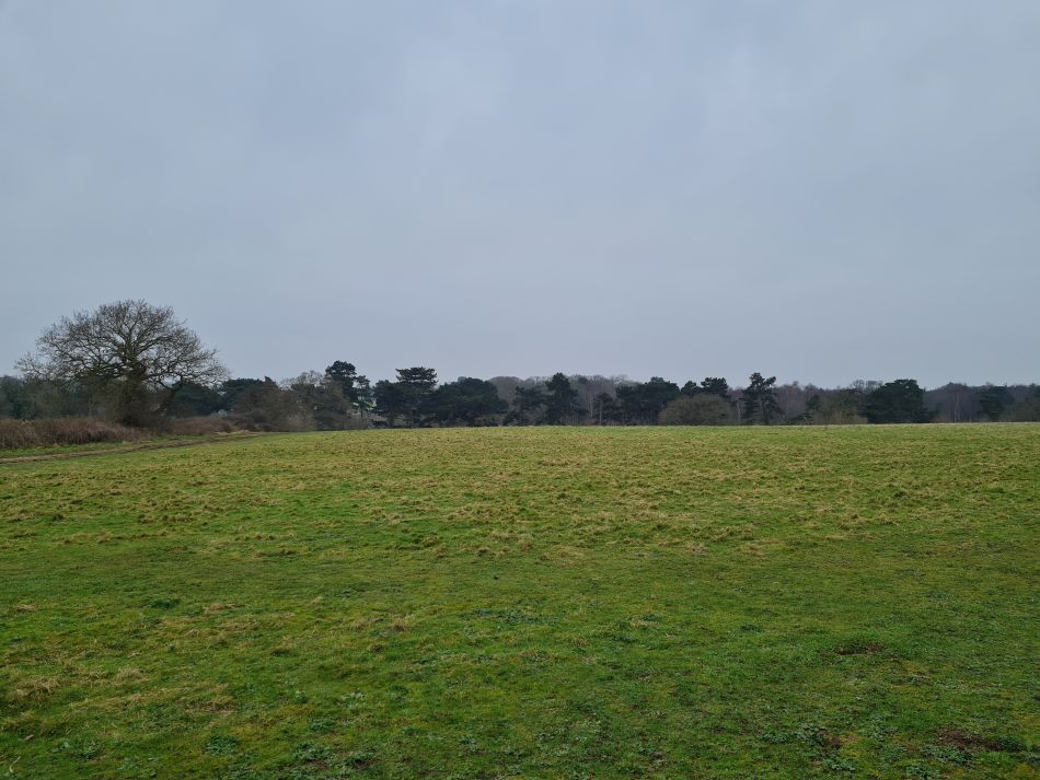 2024-03-10 02 Gorleston Lound Lakes and Hopton.jpg