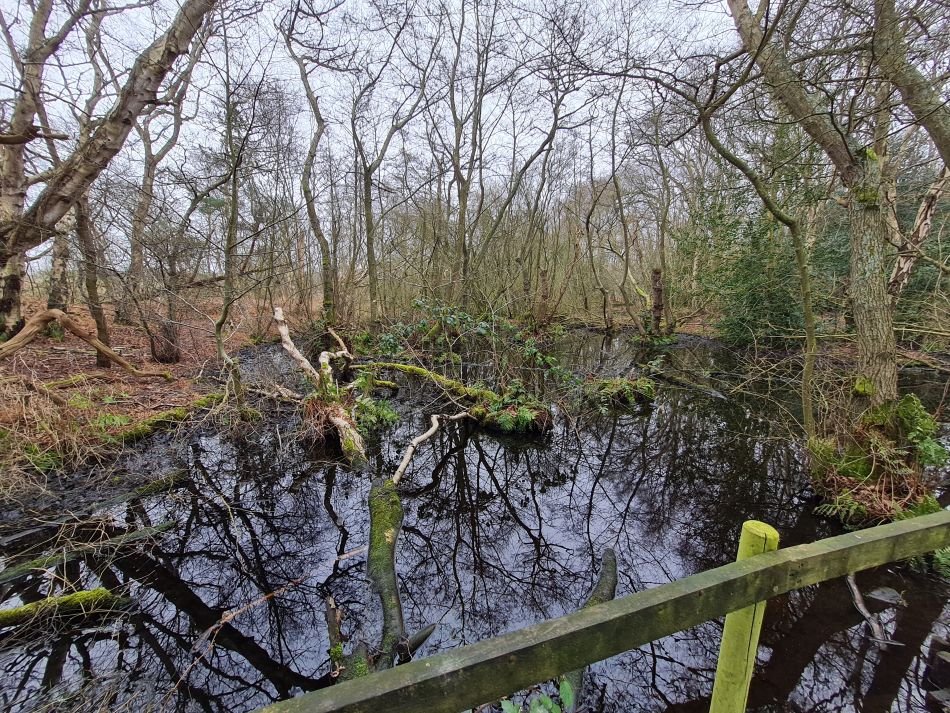 2024-03-10 06 Gorleston Lound Lakes and Hopton.jpg