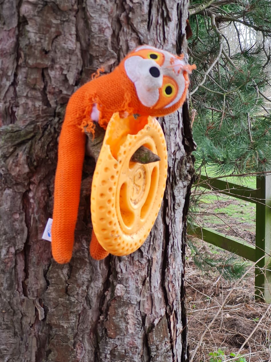 2024-03-10 08 Gorleston Lound Lakes and Hopton.jpg